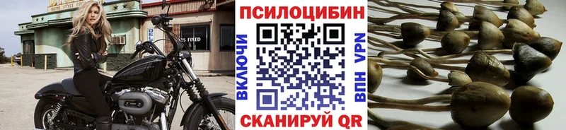 Галлюциногенные грибы GOLDEN TEACHER  Купить закладки  Волгодонск 